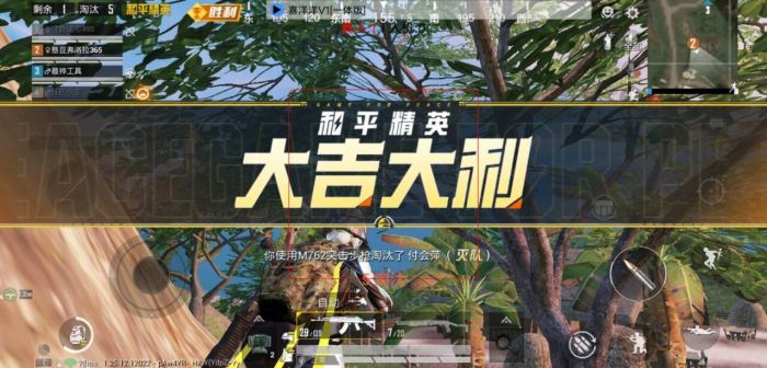 PUBG小羊辅助功能介绍